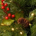 thumbnail image 4 of National Tree Company 2 ft. Nordic Spruce® Tree with LED Lights, 4 of 5