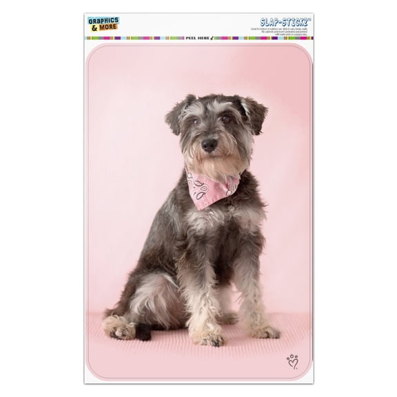 Schnauzer Puppy Dog with Bandana Sitting Home Business Office Sign