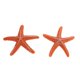 thumbnail image 2 of 2 Piezas De Plantas De Acuario De Acuario Artificial Plantas De Acuático Ornamento De Fondo Tipo 5 - Naranja Zulema Decoración del tanque de peces de acuario, 2 of 7