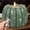 Green, variant on Fall Decorations for Home, Flickering Flameless Wax Pumpkin LED Candle with Timer Remote Control, Thanksgiving Gifts, Autumn Farmhouse Rustic Harvest Decor for Tiered Tray Table Indoor