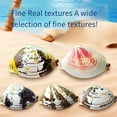 thumbnail image 4 of Water Clam Prank Realistic & Spray Water Mini Water For Kids Summer Outdoor Play Random 5 Styles (3.8CM Plastic), 4 of 5