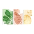 thumbnail image 1 of Cuadro Decorativo Tríptico Vertical Plantas de Colores Canvas Revolution  Set De 3 Cuadros 25x38 cm, 1 of 5
