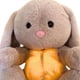 thumbnail image 3 of Peluche Dinosaurio Chupete para Bebé Con Música Y Luces Recién Nacidos (marrón Claro), 3 of 9