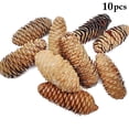 thumbnail image 2 of 10 PCS Large Spruce Pine Cones, Big Natural Pinecones for Christmas & Fall/Winter Decor, Vase/Bowl Filler, Wreath & Craft Ornaments,C, 2 of 6