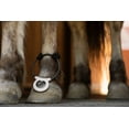 thumbnail image 5 of Assisi LOOP 2.0 Manual tPEMF Device for Dogs, Cats, and Horses, 5 of 7