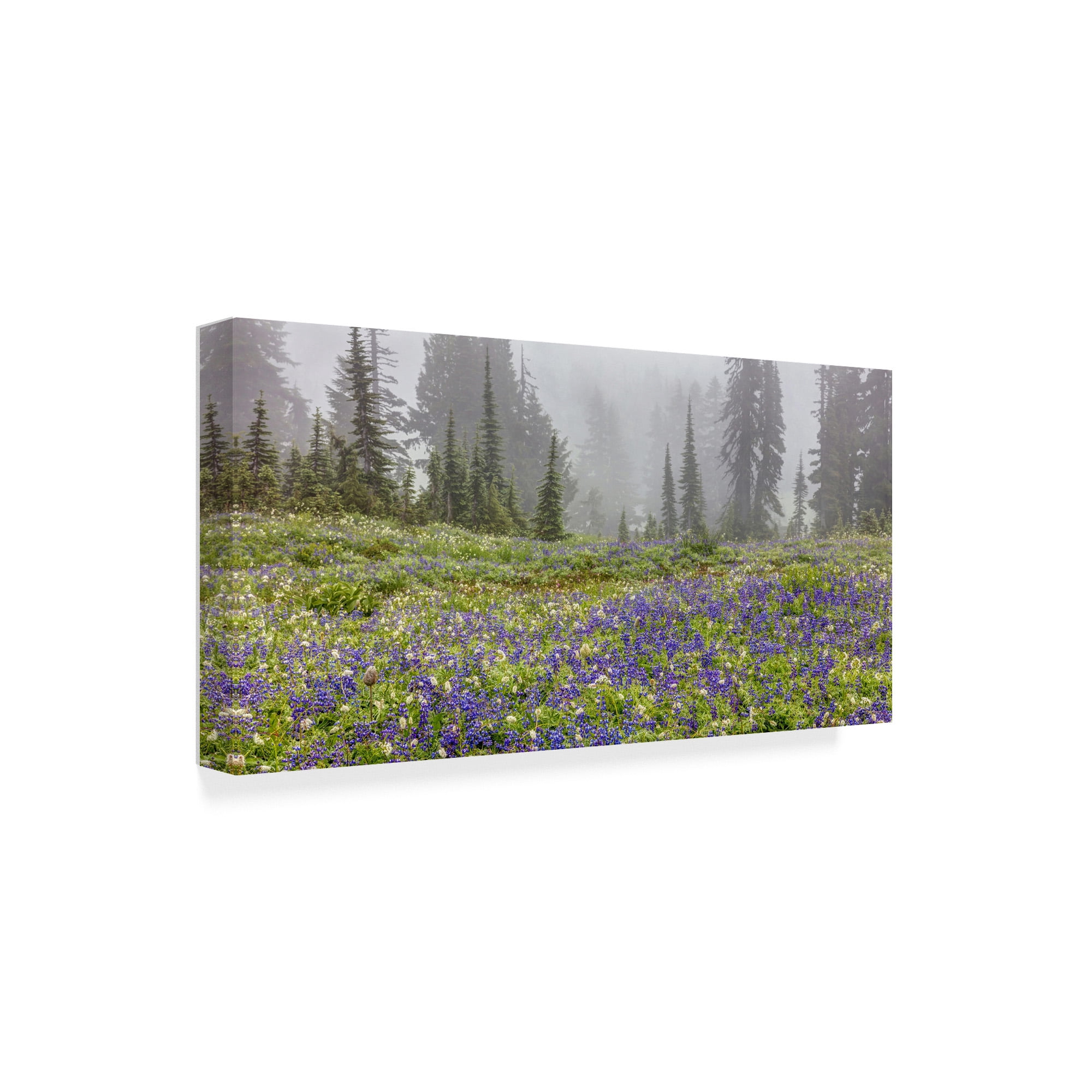 Trademark Fine Art 'Mountain Wildflowers' Canvas Art by Pierre Leclerc
