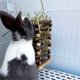 thumbnail image 2 of Hanging Apple Wood Rabbit Hay Feeder - Guinea Pig Grass Holder with 2 Hooks Biting Resistant Small Animals Chew Toy, Feeding Hay Manager Shelf （Add white bead style）, 2 of 5
