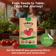 thumbnail image 4 of Large Cherry Tomato Seeds Pack 0.8g – 300+ Non-GMO Heirloom Vegetable Seeds for Planting Indoor or Outdoor Home Garden, 4 of 6