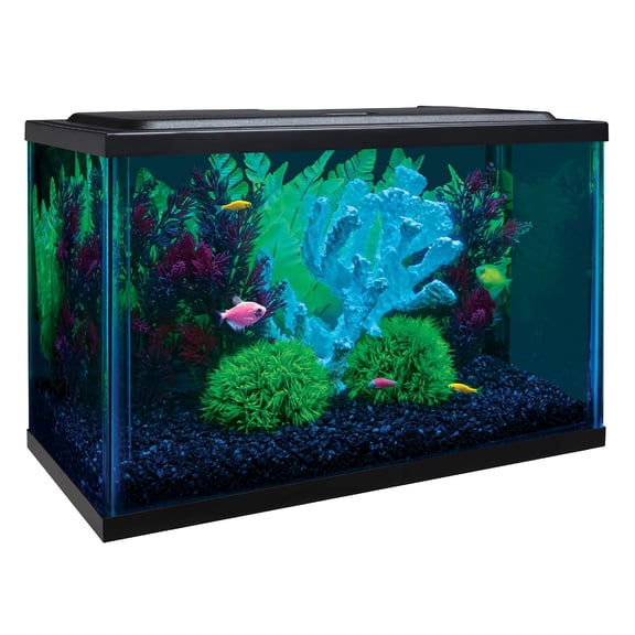 GloFish Aquarium Kit 5 Gallons Includes LED Lighting and Filter 16" L X 8.5" W X 10" H