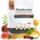 thumbnail image 1 of Sugar-Free Ashwagandha & Mushroom Gummies Supplement | 10 Functional Mushrooms per Serving | Immune Support, Focus, Energy | Vegan, Keto, Low Carb, Allulose Sweetener | 80 Gummies, Natural Flavors, 1 of 9