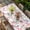 Light Pink Peach Pink White, variant on Valentine's Day Table Cloths for 4 Foot Rectangle Tables, Heart Love Modern Country Light Yellow Patio Waterproof Elastic Fitted Tablecloths, Washable Rectangular Table Cover for Camping