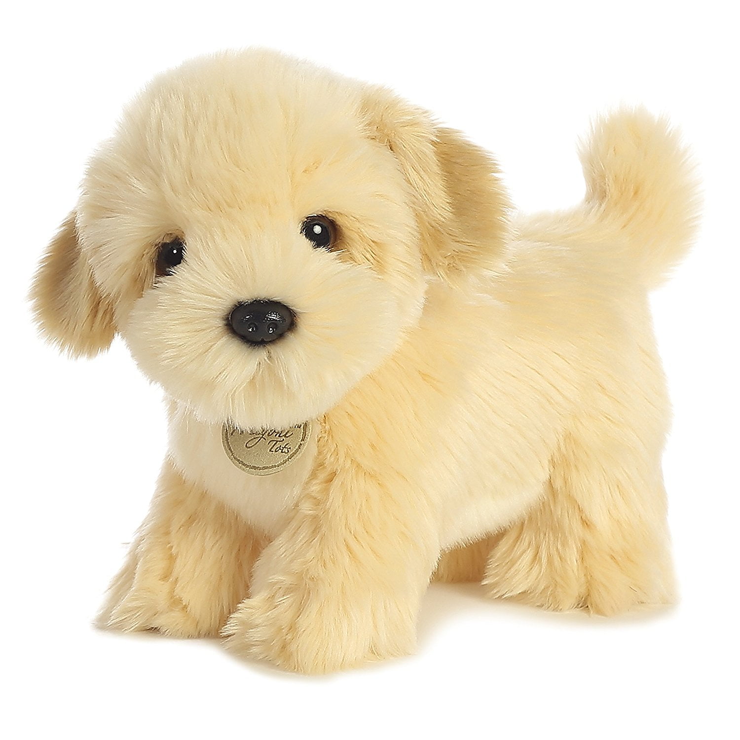 lhasa apso teddy