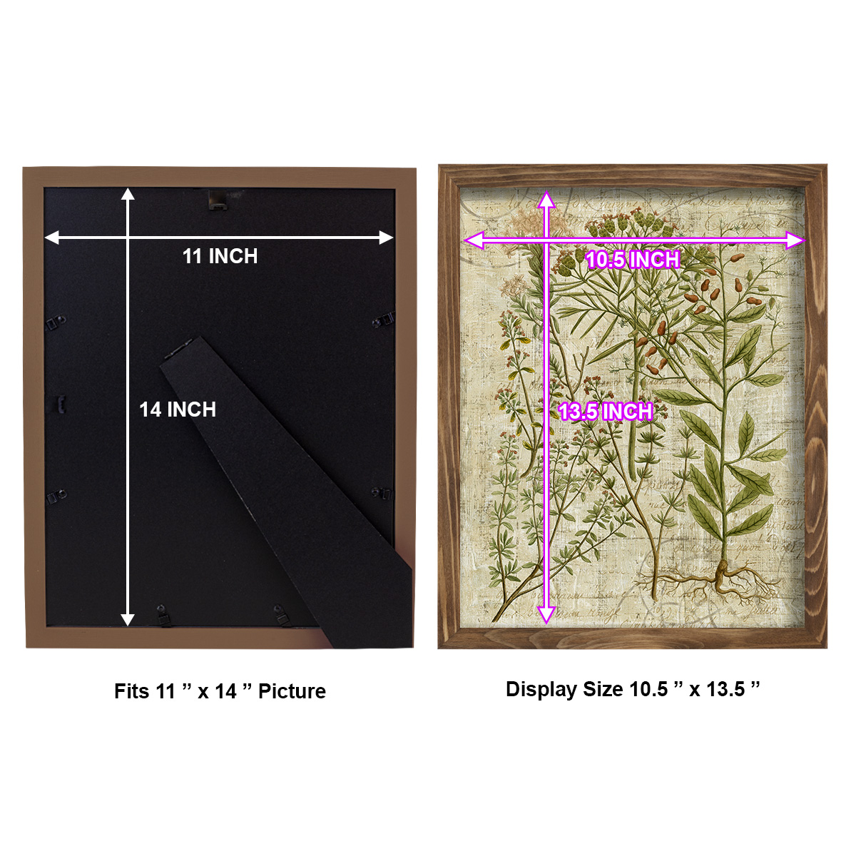 Garden Verses I -Framed Print w/glass-Walnut