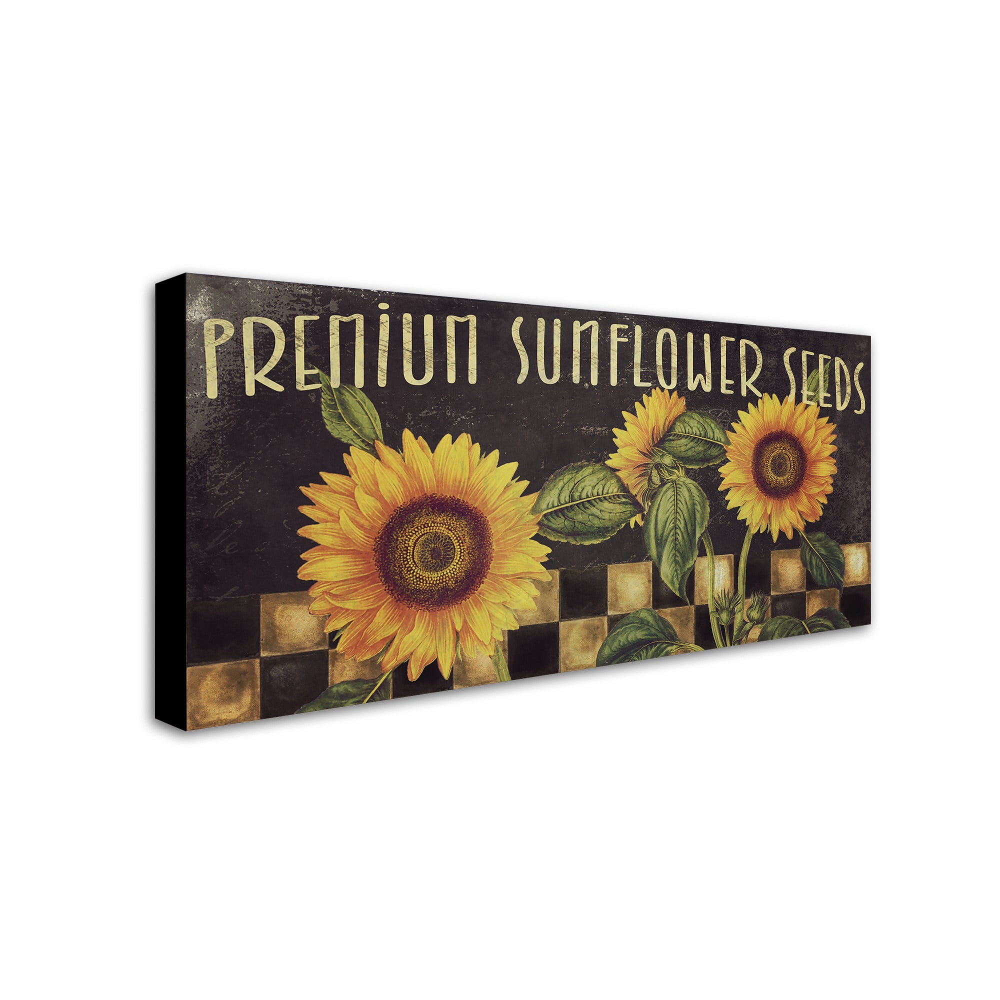 Trademark Fine Art "Sunflowers" Canvas Art by Color Bakery