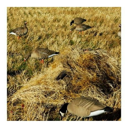 Banded KillerWeed Layout Blind Kit Gold Harvest 47305