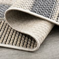 thumbnail image 5 of Bliss Rugs Bailey Transitional 8' x 10' Black and Natural Indoor Outdoor Area Rug, 5 of 8