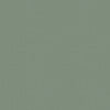 Sage Green Texture