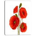 thumbnail image 2 of Close Up Vue de Coquelicot sur Fond Blanc - Impression sur Toile Florale, 2 of 3