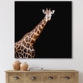 thumbnail image 2 of Designart ' Portrait of A Giraffe On Black Background III ' Farmhouse Canvas Wall Art Print, 2 of 4