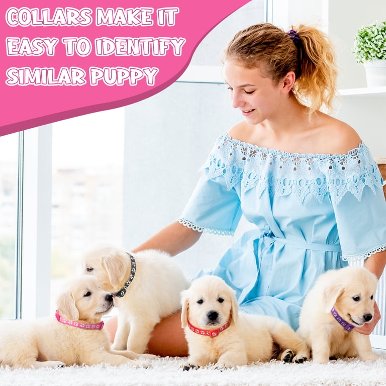AOWOO 36-Piece Puppy Collar and Leash Set, Multicolor photo 6