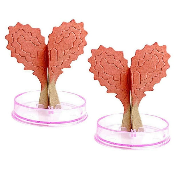 2sets Growing Heart Shaped Tree Diy Decoration Of Tree For Creative Play Couples For Home Office Decor