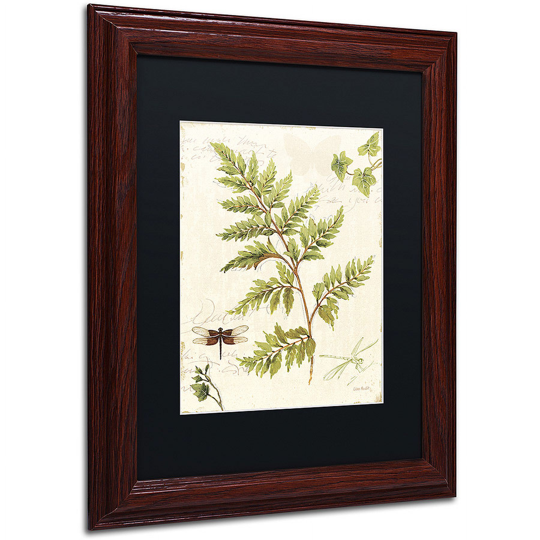 Trademark Fine Art "Ivies and Ferns I" Canvas Art by Lisa Audit, Black Matte, Wood Frame