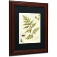 thumbnail image 2 of Trademark Fine Art "Ivies and Ferns I" Canvas Art by Lisa Audit, Black Matte, Wood Frame, 2 of 4