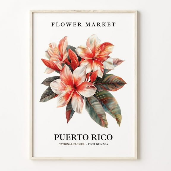 Kna Prints - Puerto Rico State Flower Poster Print, Flor De Maga 1960'S Wall Art, Neutral Botanical Pastel Artwork, Puerto Rico Flower Market Decor Unframed Poster, UNFRAMED-8x12