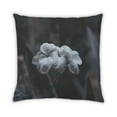 thumbnail image 2 of Ahgly Company Coussin d'Intérieur Plantes Fleurs, 18 Pouces par 18 Pouces, 2 of 6
