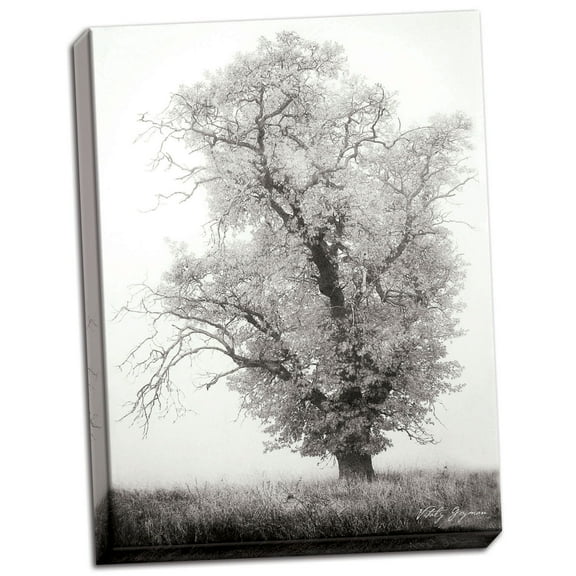 Gango Home Decor Misty Oak I B&W by Vitaly Geyman (Ready to Hang); One 18x24in Hand-Stretched Canvas