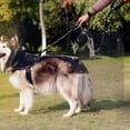 thumbnail image 2 of Correa de cuerda para perros, correa reflectante con doble asa para entrenamiento de seguridad y control, correas para perros grandes o medianos., 2 of 7