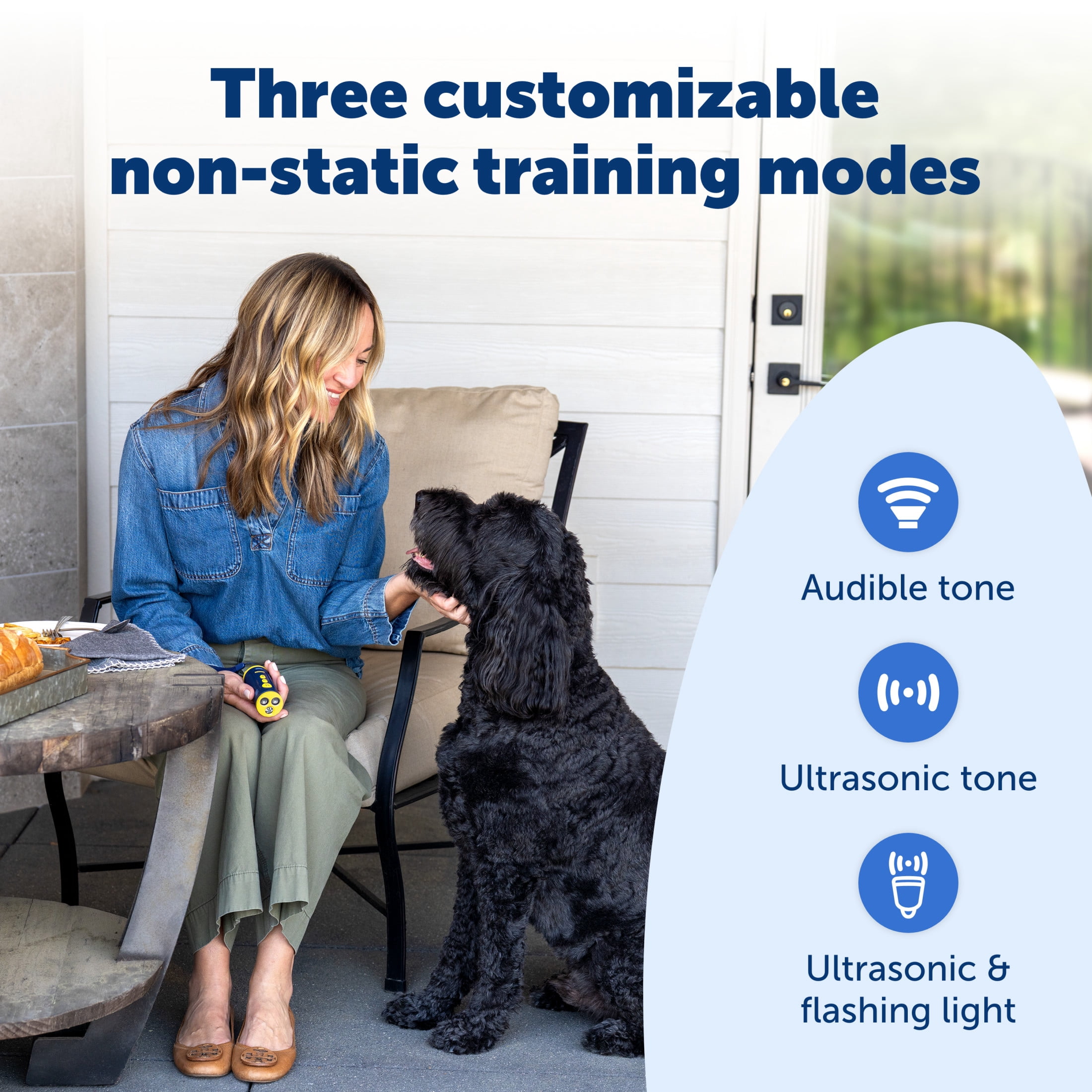 PetSafe Collarless Trainer Handheld Ultrasonic Bark Deterrent | Anti-Bark Device, Tone/High-Pitched Sound/Flashlight, Up to 30 Ft Range, Rechargeable, Wrist Strap