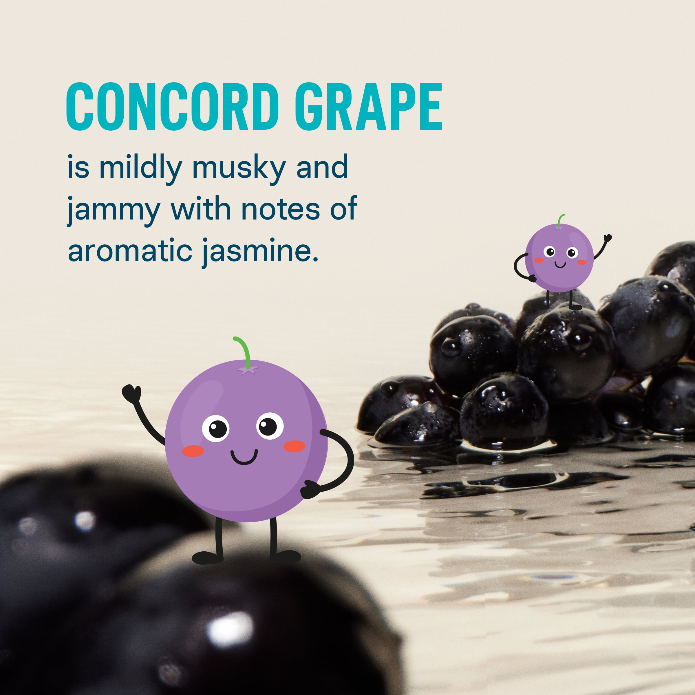 (2 pack) Liquid I.V.® Concord Grape Hydration Multiplier® for Kids Powdered Electrolyte Drink Mix, 8 Count