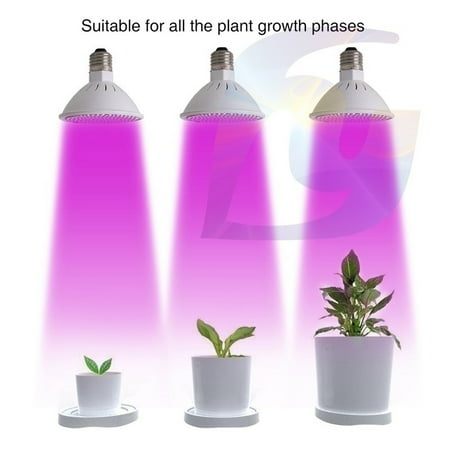 

New E27 E14 MR16 GU10 36Led 60LED 80Led Hydroponic Flower Veg Growing Lamp 3W 4W 5W Plant Grow Light