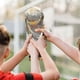 thumbnail image 2 of World Cup Trophy, Hercules Trophy, Resin Replica of Football World Cup Souvenir Trophy, Souvenir Collection Home/Office Decorations, Gifts for Fans, 2 of 5