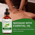 thumbnail image 5 of PURE Tea Tree Essential Oil | 100% Pure and Natural Tea Tree Oil 100ml, 5 of 5