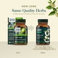 thumbnail image 6 of Gaia Herbs Olive Leaf - Traditional Immune Health Support - Immune System Supplement with Olive Leaf Extract & Oleuropein* - 60 Vegan Liquid Phyto-Caps (60 Servings), 6 of 9