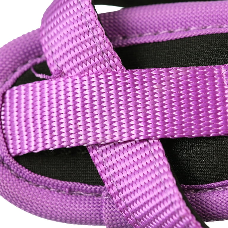 Pet champion comfort harness 2025