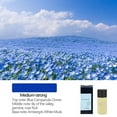 thumbnail image 1 of Natural Plant-Based Car Air Freshener Spray, Odor Eliminator for Vehicles and Home, 10ml Refillable Essential Oil Formula, 1 of 9