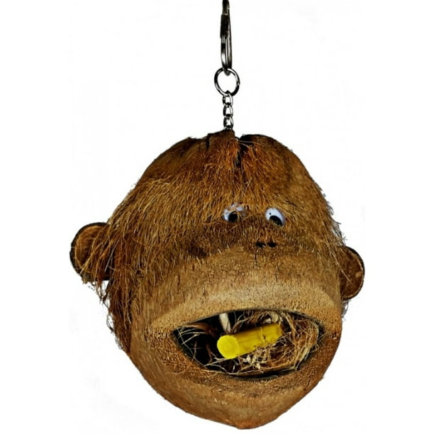 3 Count 3 X 1 Ct Ae Cage Company Java Wood Coco Monkey Head For Birds Walmart Com Walmart Com