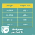 thumbnail image 2 of Pampers Swaddlers 360 Baby Diapers Size 4, 100 Count (Select for More Options), 2 of 11