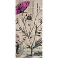 thumbnail image 3 of Jordan, Elizabeth 9x14 Black Modern Framed Museum Art Print Titled - Botanical 9, 3 of 5
