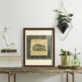 thumbnail image 5 of Mini Exotic Coral I (U) - Framed Print w/glass - Chestnut, 5 of 7