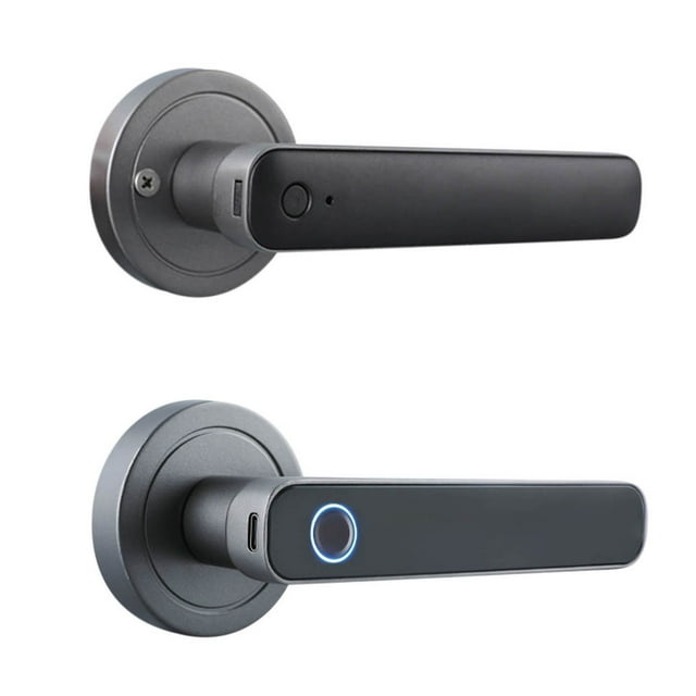 SDNall Serrure de Porte Sans Clé avec Empreinte Digitale, Poignée Levier Biométrique pour Porte d'Entrée, Serrure d'Hôtel avec Accès à Clé