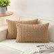 thumbnail image 1 of Chenchen Pack of 2 Corduroy Decorative Throw Pillow Covers 12x20 Inch Soft Striped Pillow Covers Modern Farmhouse Home Decor for Sofa Living Room Couch Bed（Coffee）, 1 of 1