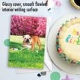 thumbnail image 5 of 1 Funny Birthday Card with Envelope - Dog In Sprinkler C3209BDG, 5 of 6