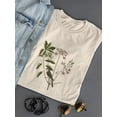 thumbnail image 3 of Catesby Bird Botanical Art T-Shirt Women -Mark Catesby Designs, Female Small, 3 of 4