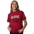 thumbnail image 3 of Oklahoma OK Student Campus Pride Men's Graphic T Shirt Tees Brisco Brands L, 3 of 6