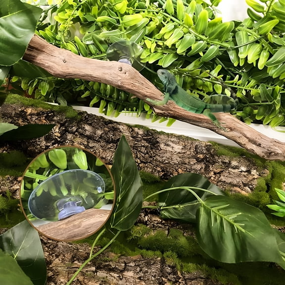 XIBUFE Reptile Branches for Climbing Bearded Dragon Branch Natural Non-Slip Habitat Decorations Reptile Decor