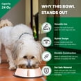 thumbnail image 4 of Iconic Pet - Stainless Steel Non-Skid Pet Bowl for Dog or Cat - 24 oz - 3 cup, 4 of 9